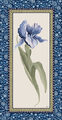 Image Not Available